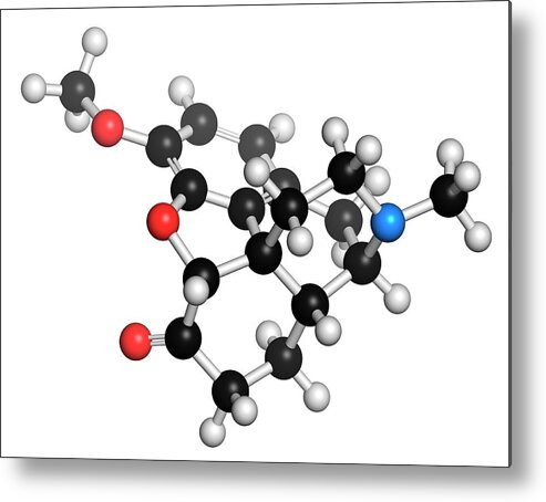 Hydrocodone Metal Print featuring the photograph Hydrocodone Narcotic Analgesic Drug by Molekuul