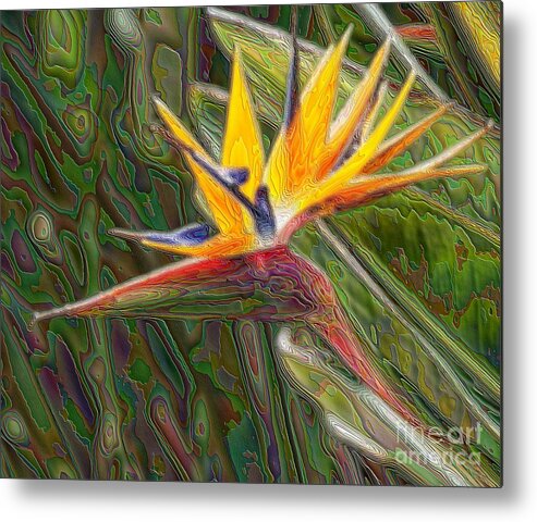 Bird Of Paradise Metal Print featuring the photograph In The Garden Of Enlightenment by Scott Evers