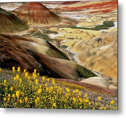 John Day Painted Hills Metal Print featuring the photograph John Day Painted Hills Oregon by Ed Riche