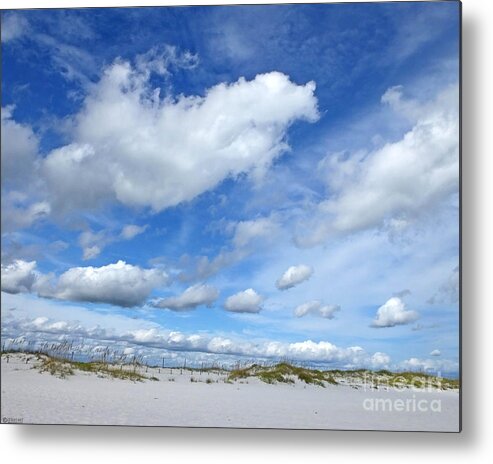 Beach Metal Print featuring the photograph Johnson Beach Perdido Key FL by Lizi Beard-Ward