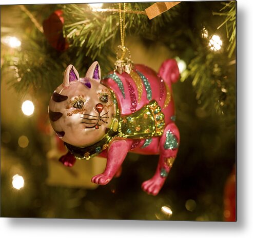 Christmas Ornament Metal Print featuring the photograph Kristmas Kitty by Rich Franco