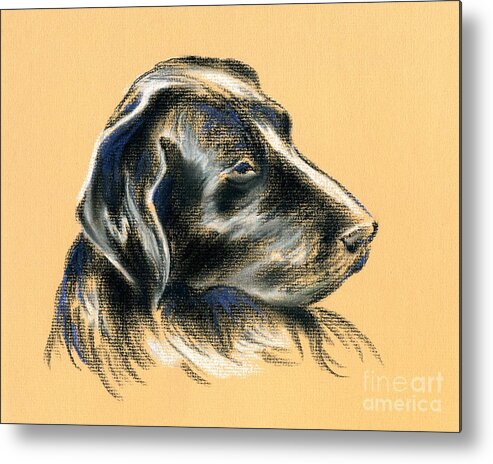 Dog Metal Print featuring the pastel Labrador Retriever - Black Dog Pastel Drawing by MM Anderson
