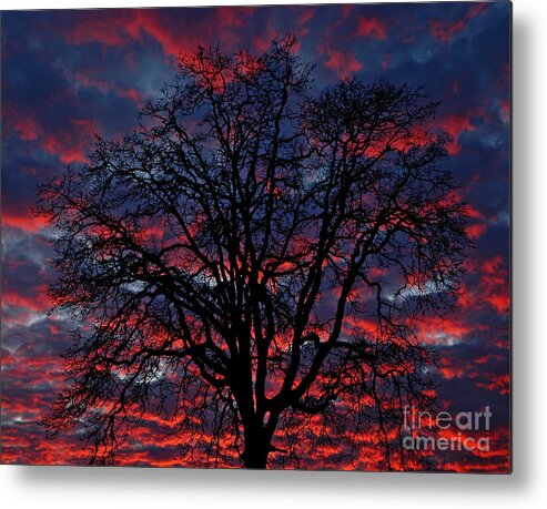 Pacific Metal Print featuring the photograph Lake Oswego Sunset by Nick Boren
