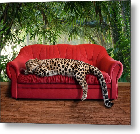 One Animal Metal Print featuring the photograph Large Pussy Cat - Leopard Sleeping by Kerrick