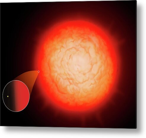 Star Metal Print featuring the photograph Largest Star Uv Scuti Compared To Sun by Mark Garlick