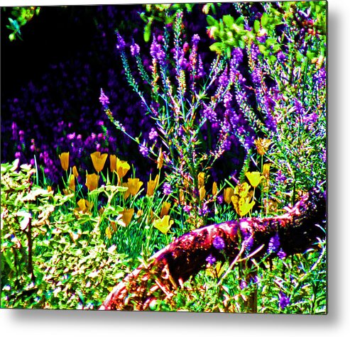 Lavender And Gold Metal Print featuring the digital art Lavender and Gold by Joseph Coulombe