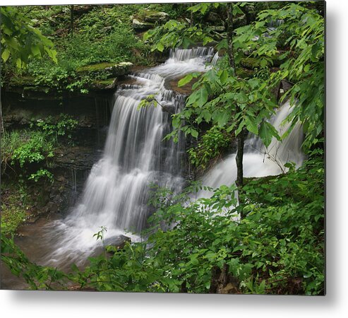 Tim Fitzharris Metal Print featuring the photograph Lichen Falls Ozark National Forest by Tim Fitzharris
