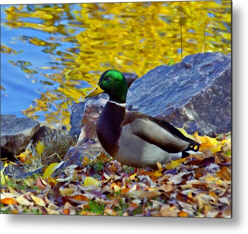 Colorado Metal Print featuring the mixed media Littleton Pond 6 Closeup by Angelina Tamez