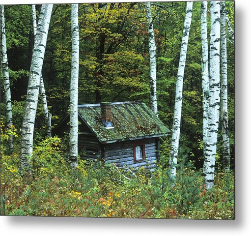 Landscape Metal Print featuring the photograph Log Cabin in the Birch Forest Vermont by Joe Palermo