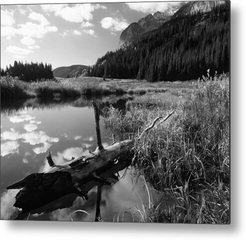 Logs Metal Print featuring the photograph Log in a Beaver pond by Mike Bennett