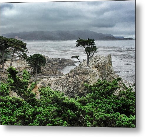 Beach Metal Print featuring the photograph Lone Cypress by Steve Ondrus
