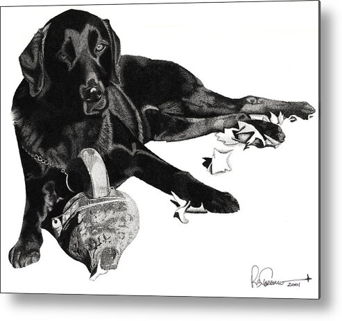 Black Lab Metal Print featuring the drawing Lounging Lab by Rob Christensen