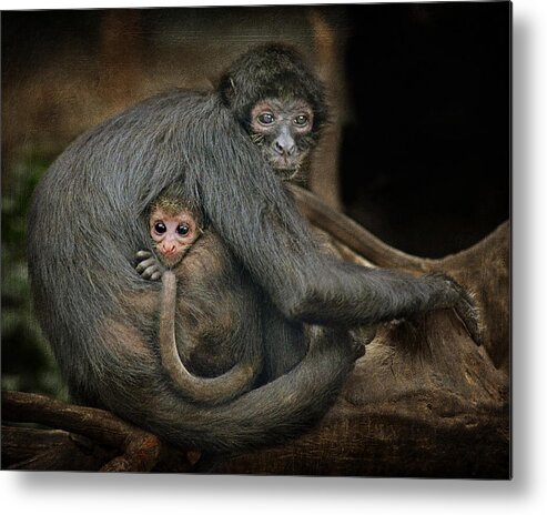 Animals Metal Print featuring the photograph Love Me Tender by Nikolyn McDonald