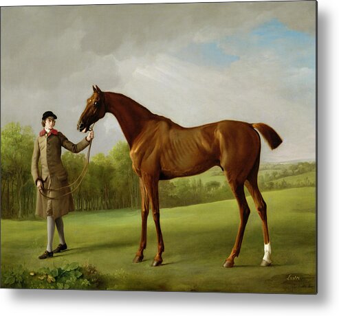 Horse; Chestnut; Race; Racing; Thoroughbred Metal Print featuring the painting Lustre held by a Groom by George Stubbs