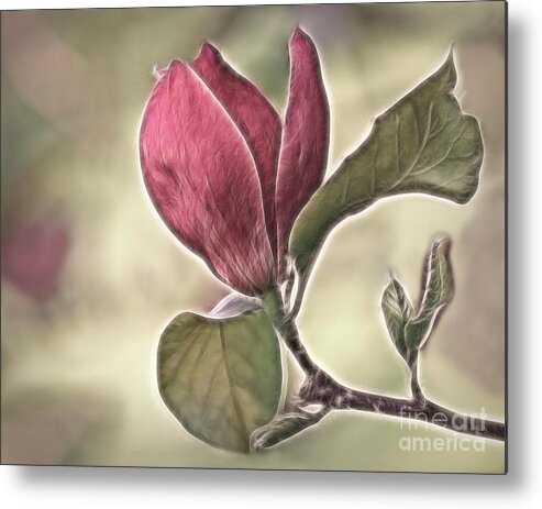 Magnolia Metal Print featuring the photograph Magnolia Glow by Susan Candelario