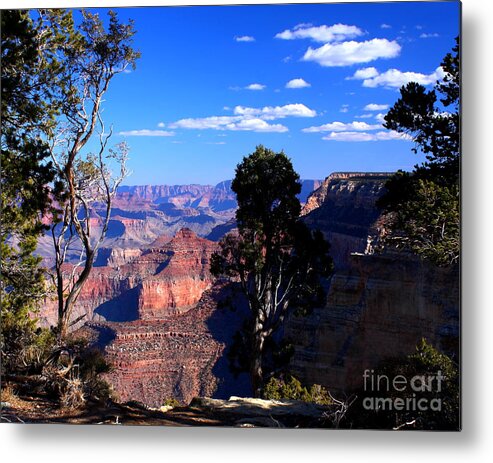 Majestic Canyon Metal Print featuring the photograph Majestic Canyon by Patrick Witz