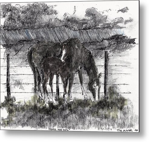  Metal Print featuring the mixed media Mare and Foal by Tim Oliver