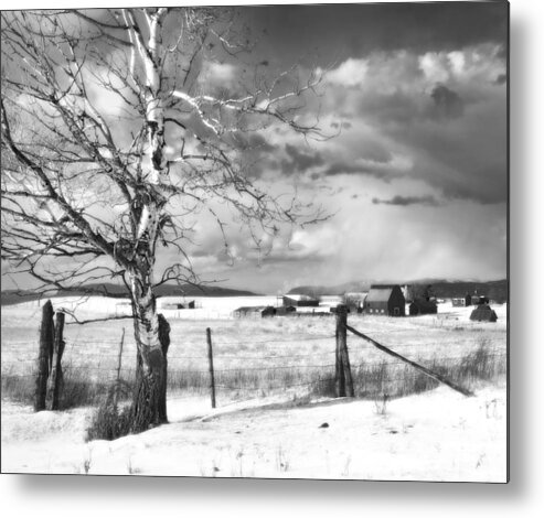 Snow Metal Print featuring the photograph Mid-winter Moonlight by Theresa Tahara