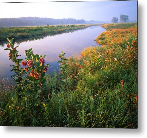 Sunset Metal Print featuring the photograph Milk Weed Morning by Ray Mathis