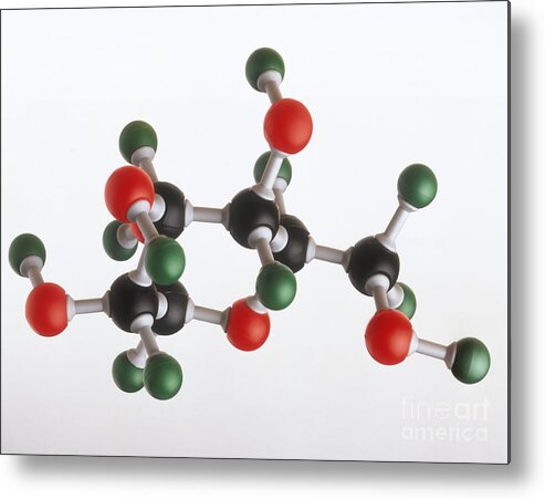Atom Metal Print featuring the photograph Model Of A Glucose Molecule by Peter Chadwick / Dorling Kindersley