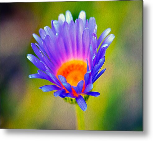 Pollen Metal Print featuring the photograph Mojave Aster by Joe Schofield