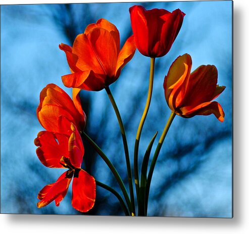 Mood Metal Print featuring the photograph Mood Bouquet by Frozen in Time Fine Art Photography