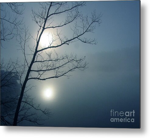 Tree Metal Print featuring the photograph Moody Blue by Douglas Stucky