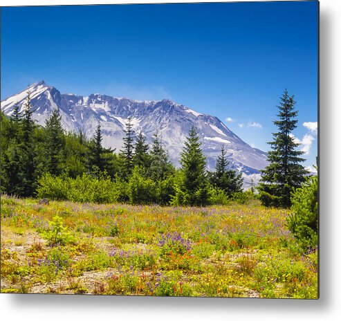 Mount Metal Print featuring the photograph Mount St. Helens by Kyle Wasielewski