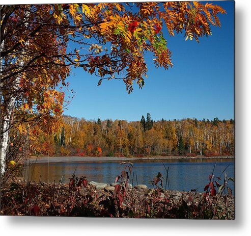 Jim Metal Print featuring the photograph Mountain Ash in Autumn by James Peterson