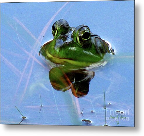 Frog Metal Print featuring the photograph Mr. Frog by Donna Brown