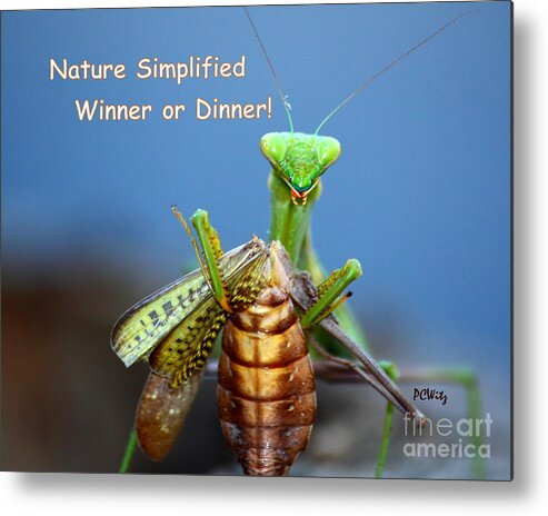 Nature Simplified Metal Print featuring the photograph Nature Simplified by Patrick Witz