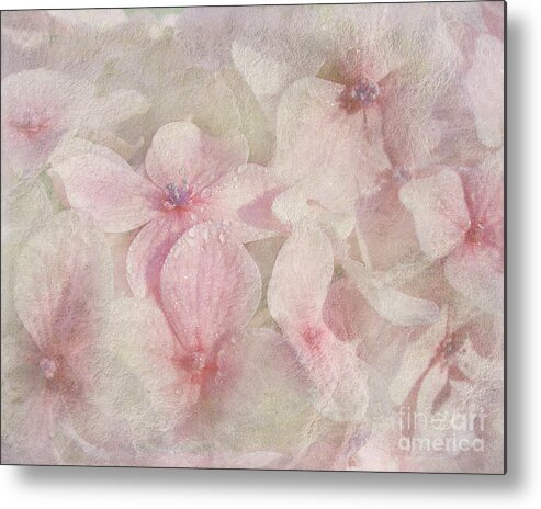 Hydrangea Metal Print featuring the photograph Never Forgotten by Kathi Mirto