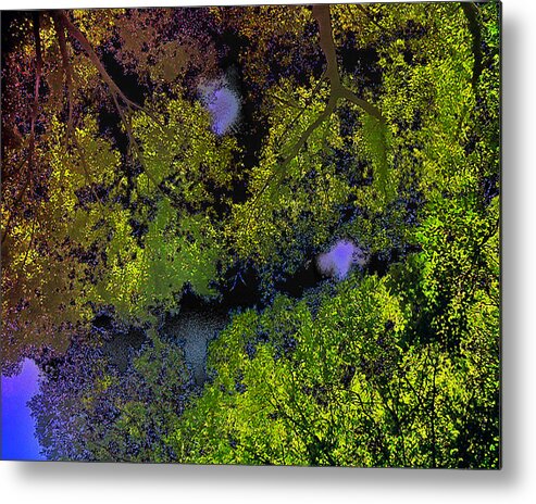 Digital Photography Metal Print featuring the photograph Night Tree Canopy by Linda N La Rose