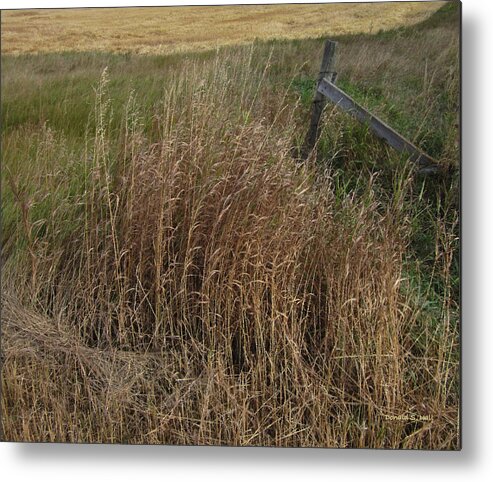 Prairie Metal Print featuring the photograph Old Fence Line by Donald S Hall