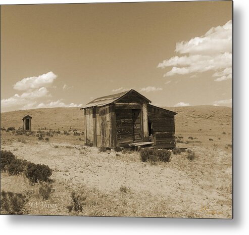 Vintage Metal Print featuring the photograph Out on the Prairie by Amanda Smith