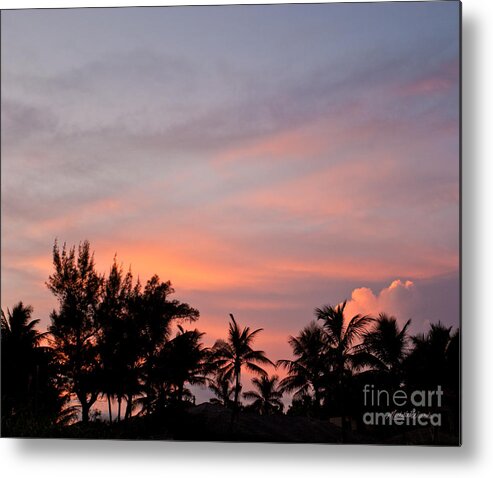 Painted Tropical Sky Metal Print featuring the photograph Painted Tropical Sky by Michelle Constantine