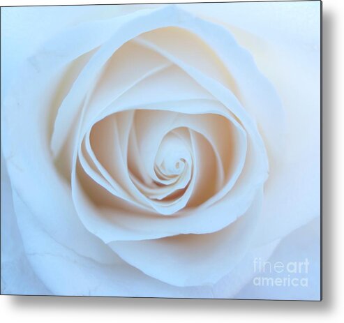 Roses Metal Print featuring the photograph Peace Within by Kerri Mortenson