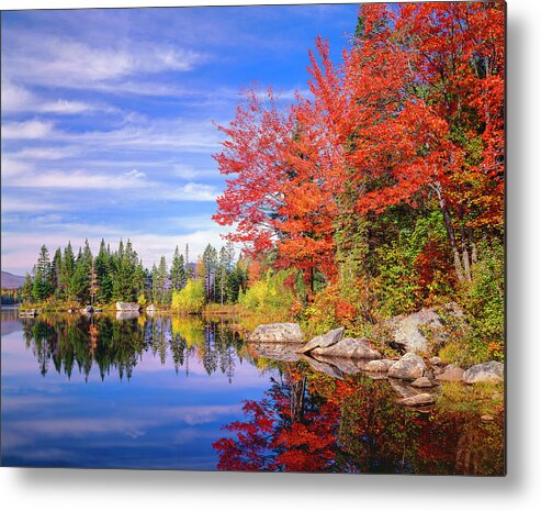 Scenics Metal Print featuring the photograph Peaceful Colorful Autumn Fall Foliage by Dszc