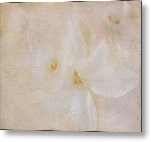 White Flowers Metal Print featuring the digital art Pearl on Petals by Michelle Ayn Potter