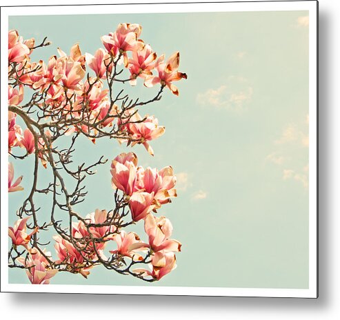 Pink Metal Print featuring the photograph Pink Magnolia Flowers Against Blue Sky by Brooke T Ryan