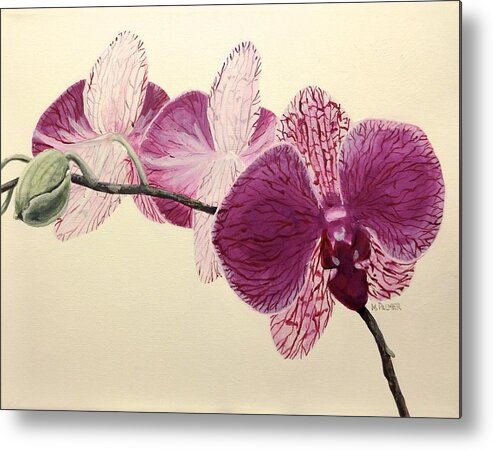 Orchid Metal Print featuring the painting Pink Orchid by Mary Palmer