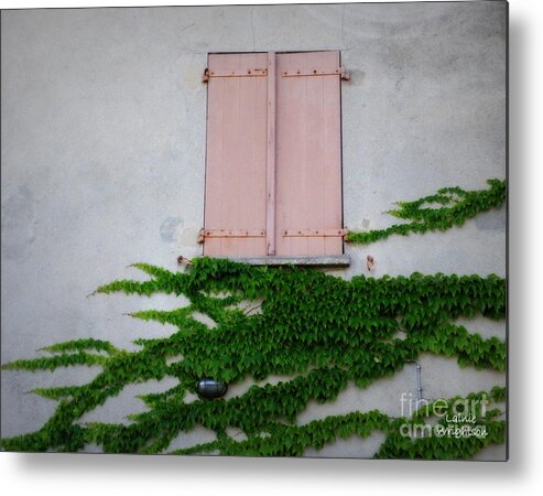 Doors And Windows Metal Print featuring the photograph Pink Shutters and Green Vines by Lainie Wrightson