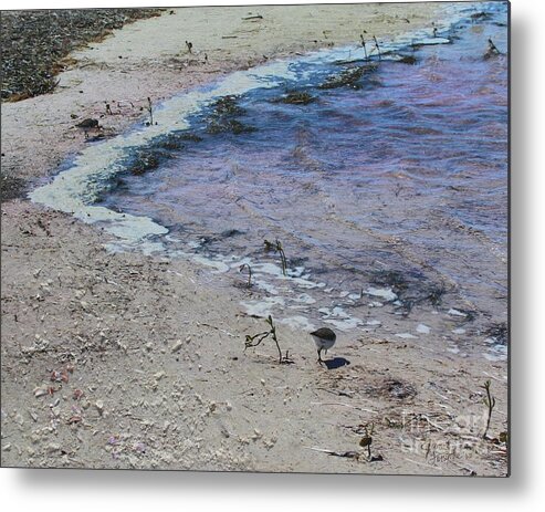 Anclote Island Metal Print featuring the photograph Purple Waters with Sand by Jeanne Forsythe