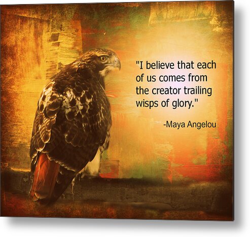 Red-tailed Hawk Metal Print featuring the photograph Red-Tailed Hawk with Maya Angelou Quote by Aurelio Zucco