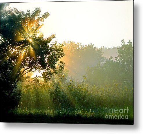 Color Photography Metal Print featuring the photograph Rise and Shine by Sue Stefanowicz