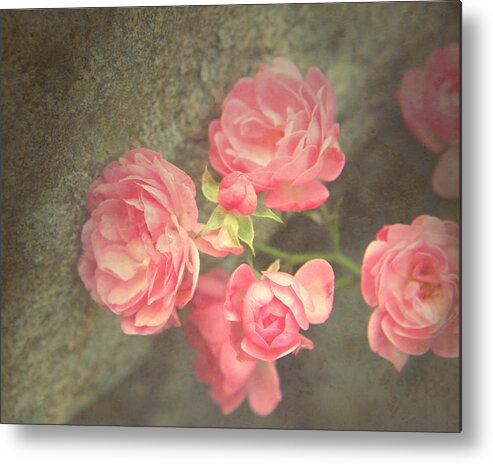 Roses Metal Print featuring the photograph Roses on Granite by Brooke T Ryan