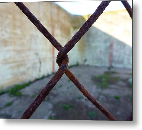 Photography Metal Print featuring the photograph Rusty Fence X by Fabien White