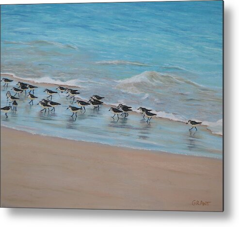 Ocean Metal Print featuring the painting Sand Piper on Parade by Joanne Grant