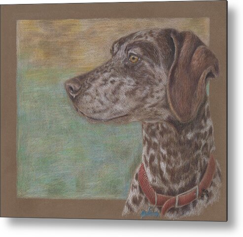 Dog Metal Print featuring the drawing Sasha by Pris Hardy