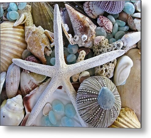 Seashells Metal Print featuring the photograph Sea Treasure by Colleen Kammerer